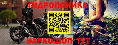 сатива Аша