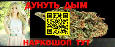 сатива Аша