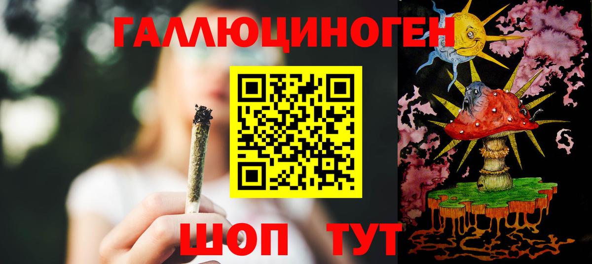 Галлюциногенные грибы Psilocybe Чита