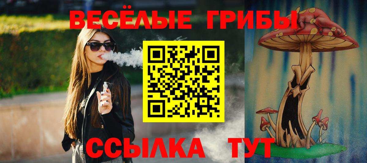 Чита  Псилоцибиновые грибы мицелий  Вход с VPN 